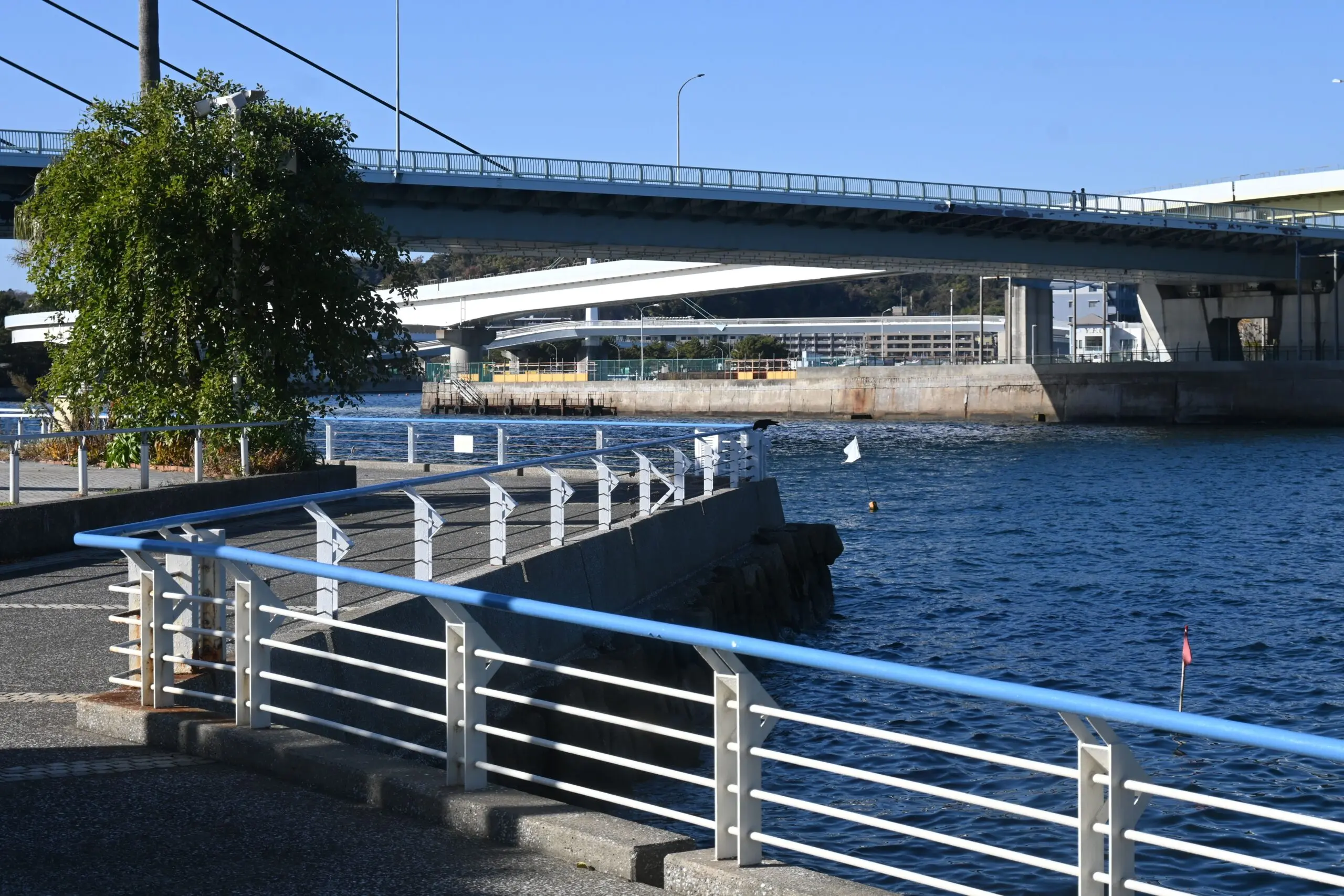 cable railing