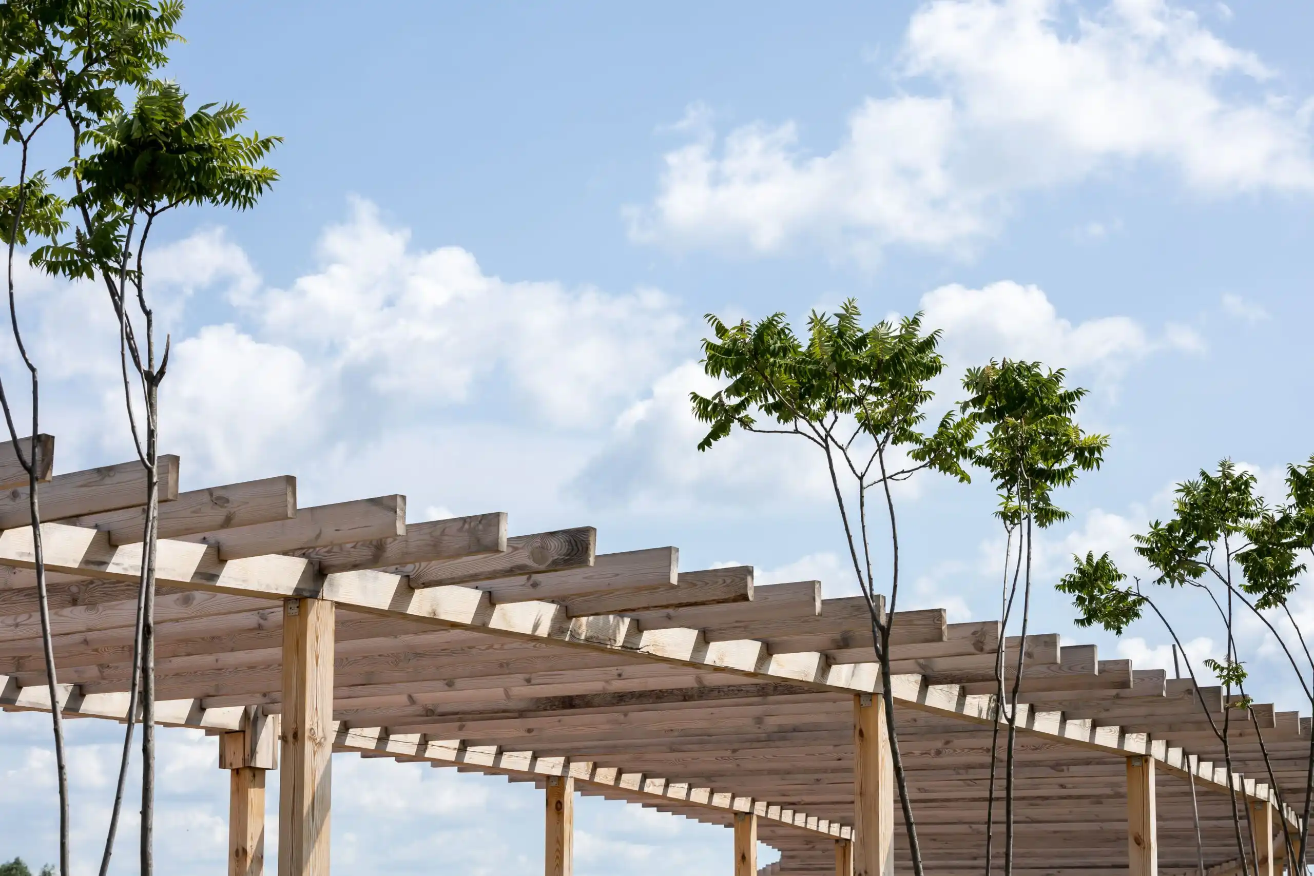 Cedar Pergola
