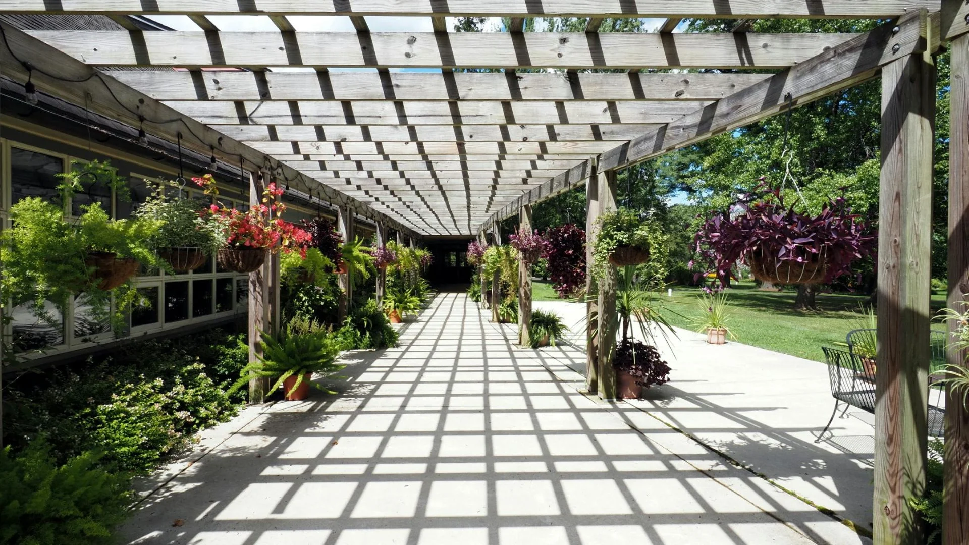 Western Red Cedar pergola installed over a backyard patio in San Antonio, TX