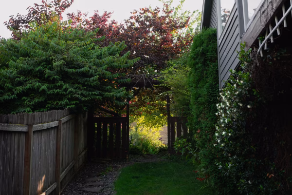 Backyard Arbor Installation