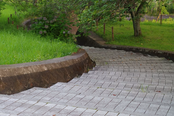 Concrete Hardscape Integration