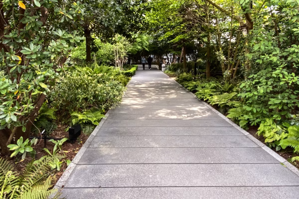 Concrete Walkway Installation