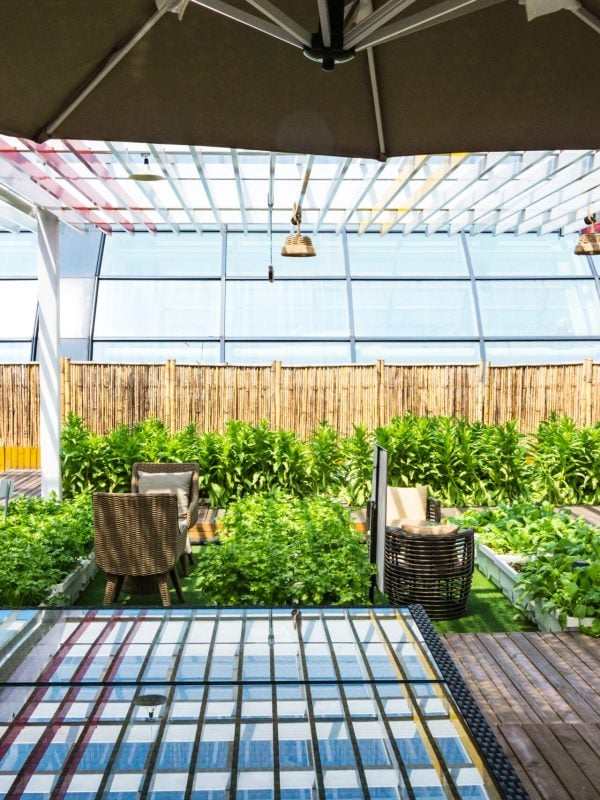 A covered lifestyle garden with indoor and outdoor living