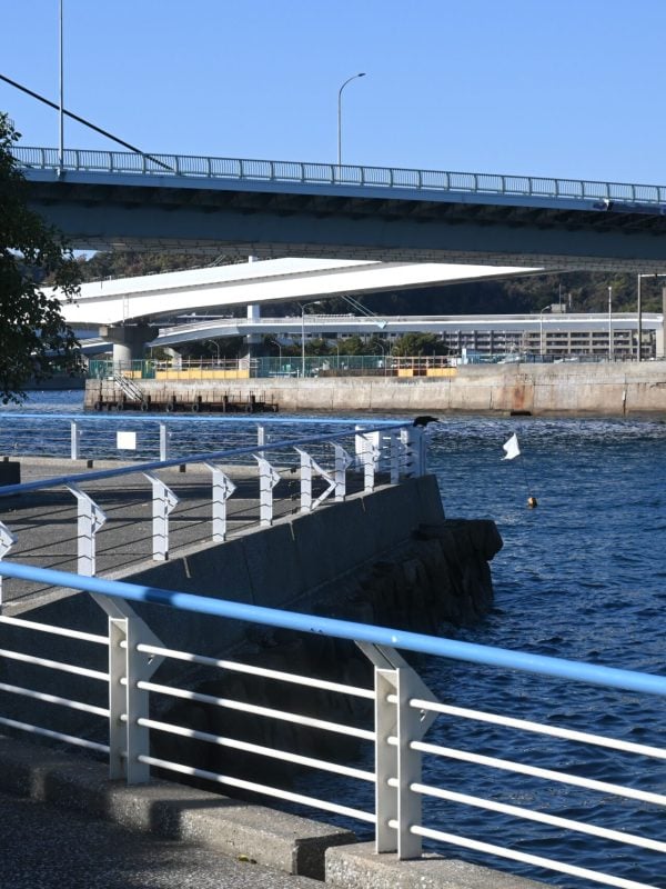 cable railing
