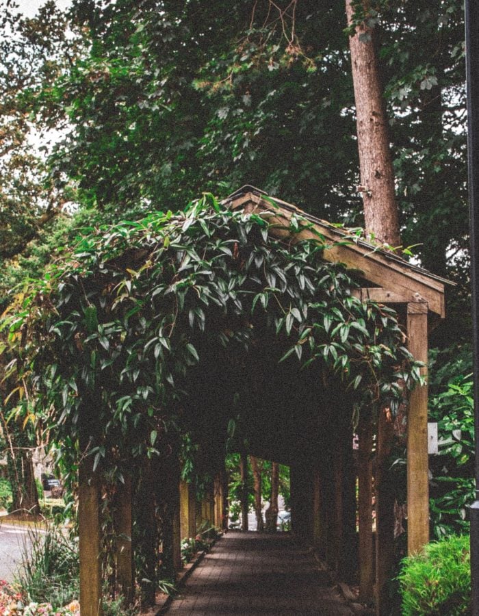 arbor